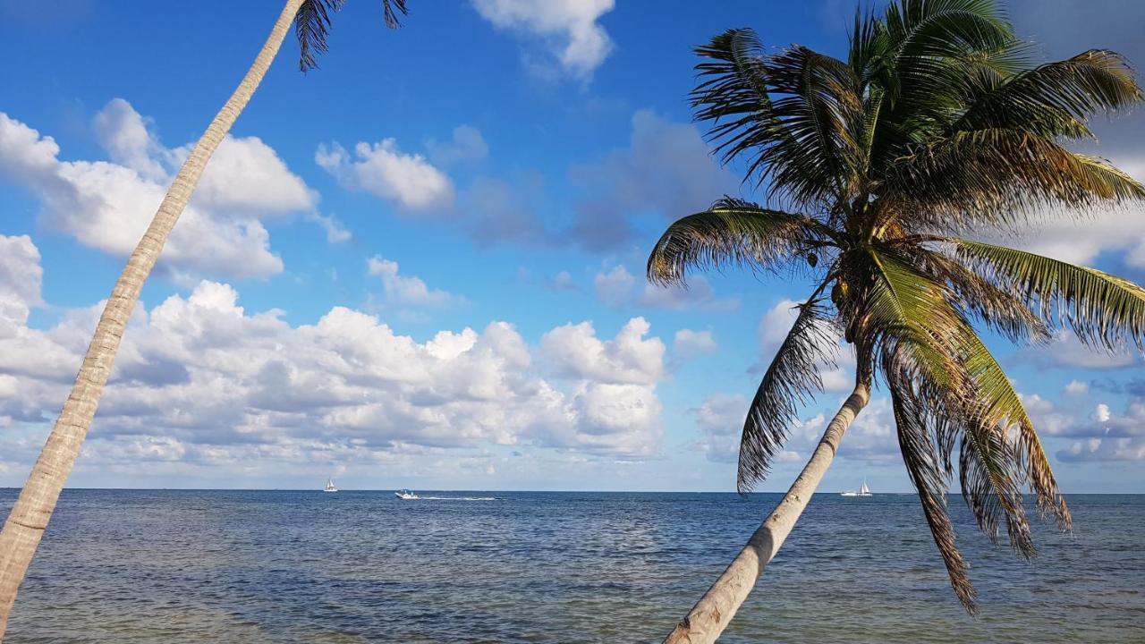 Royal Caribbean Resort San Pedro  Eksteriør billede